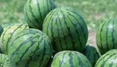 网爆门路边吃瓜,街头吃瓜群众见证的瞬间