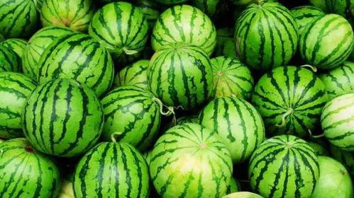 网爆门路边吃瓜,街头吃瓜群众见证的瞬间