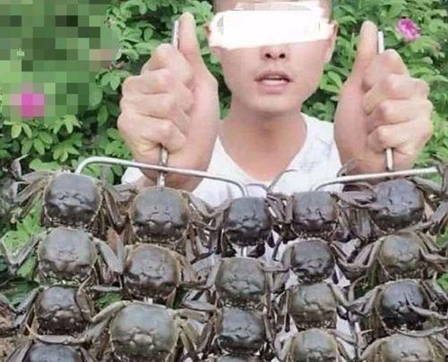 文安某网红吃瓜事件真相,真相背后竟是这样