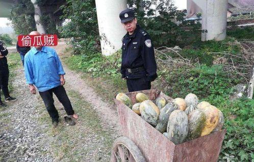 文安某网红吃瓜事件真相,真相背后竟是这样