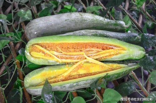 网红吃瓜赵露丝,网红吃瓜界的风云人物