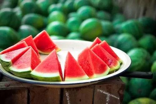 网红吃瓜名字怎么取好听