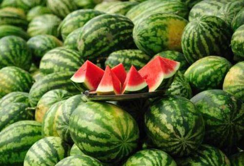 网红吃瓜名字怎么取好听