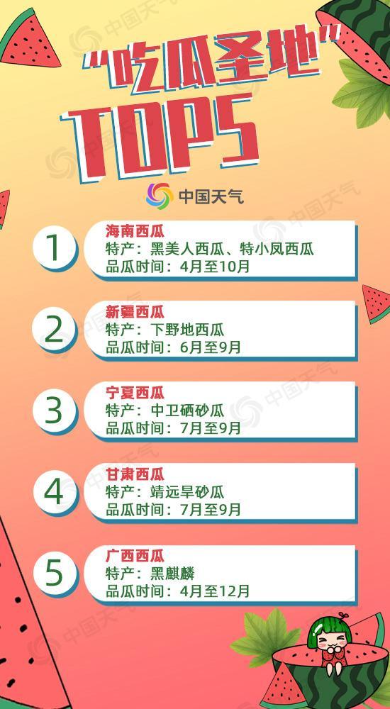 前排吃瓜网语漫谈目录,揭秘网络流行语的演变与魅力