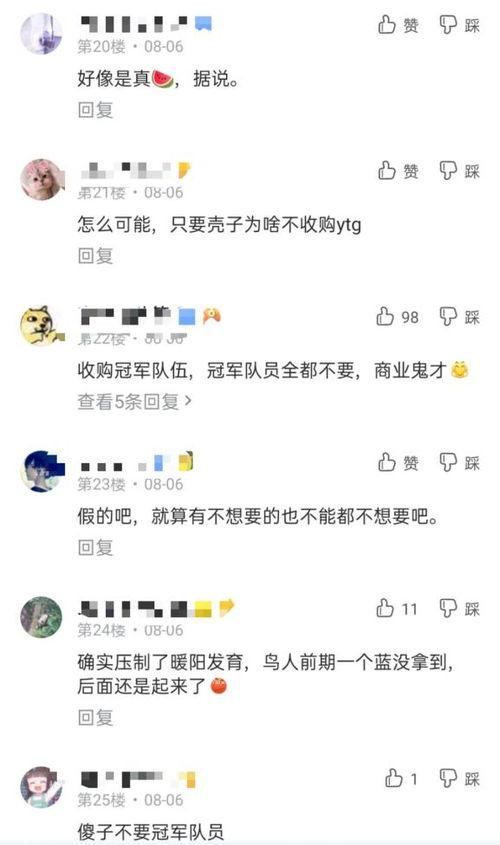 前排吃瓜网语漫谈目录,揭秘网络流行语的演变与魅力
