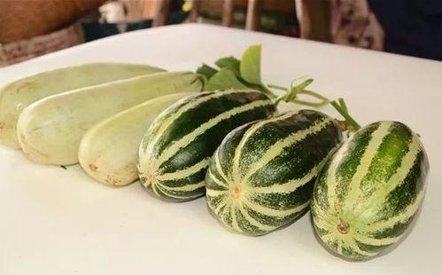 吃瓜香的网红叫什么名字,揭秘网红界的瓜王传奇