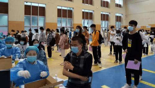 石家庄吃瓜网最新消息新闻,揭秘本地热门事件幕后真相