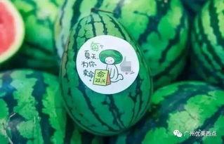 ccggct吃瓜网最新