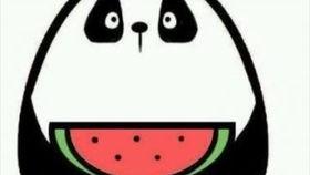 ccggct吃瓜网最新