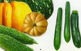 吃瓜是哪个平台的网红啊