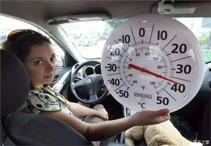 网约车上吃瓜,见证城市生活的百态