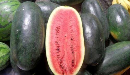 网红吃瓜黑历史炸裂,揭秘娱乐圈背后的惊人真相