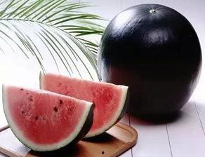 网红吃瓜黑历史炸裂,揭秘娱乐圈背后的惊人真相