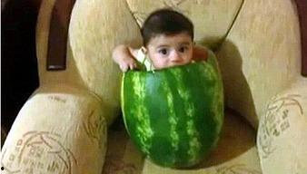 扬州网红事件吃瓜视频,揭秘网络狂欢背后的真相