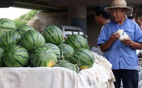 扬州网红事件吃瓜视频,揭秘网络狂欢背后的真相