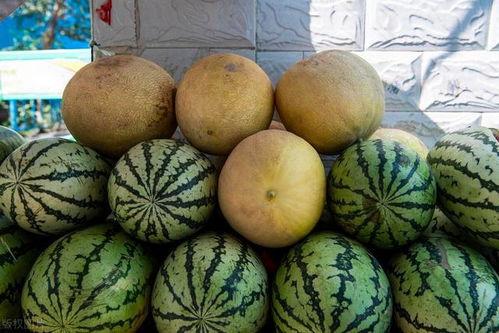 网红瓜去哪里吃最好看呢