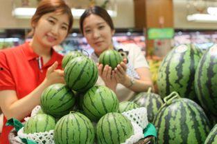 昆明炫富网红吃瓜事件,一场网络舆论的狂欢与反思