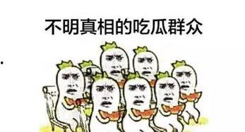 吃瓜网我们是认真的,揭秘娱乐圈背后的真实故事，我们是认真的！