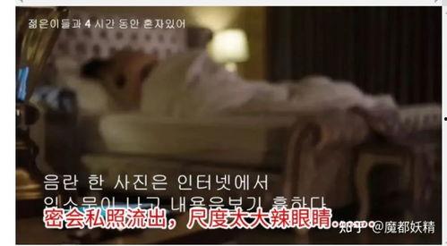 网红吃瓜视频合集,盘点热门视频合集背后的精彩瞬间