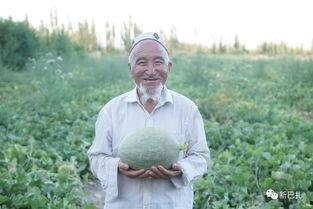 网红褒姒吃瓜,揭秘古代宫廷的娱乐生活