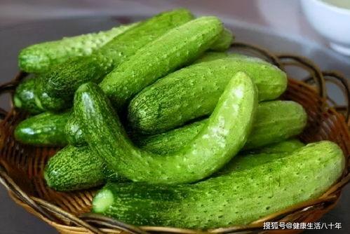 吃瓜专用网复古,复古风潮下的网络娱乐新篇章