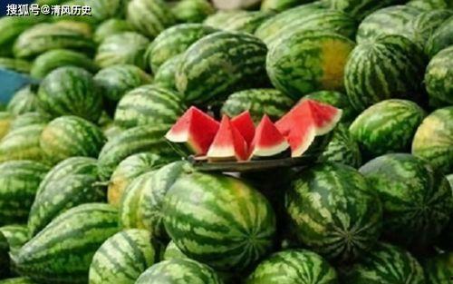 怎么看吃瓜网,网络舆论场中的“瓜田”观察