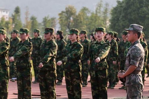 51吃瓜fun吃瓜网军训,揭秘军训那些事儿，趣味吃瓜不停歇