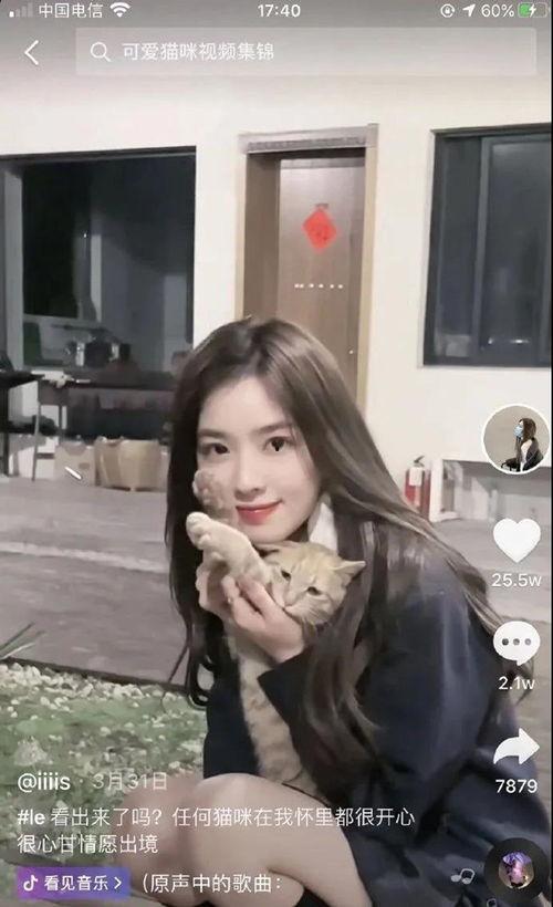 女网红合集吃瓜,一场女网红们的吃瓜盛宴