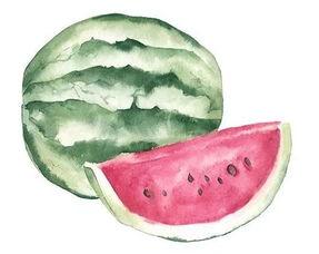 吃瓜网不同线路,揭秘热门事件背后的真相与细节