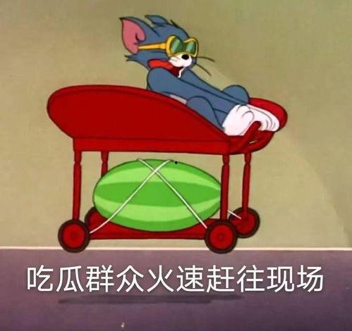 网红吃瓜大爆料宿舍,宿舍里的那些吃瓜大爆料