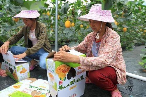 吃瓜逛街的网红有哪些人