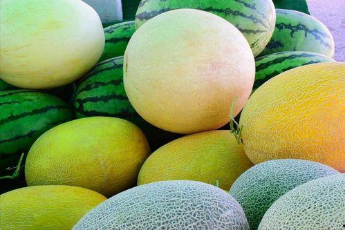 718吃瓜网最新地址,独家资讯一手掌握