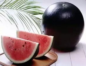 奇闻百科吃瓜新闻网,揭秘吃瓜新闻网背后的惊人真相