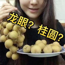 网红乐乐视频吃瓜,揭秘网红美食背后的真相