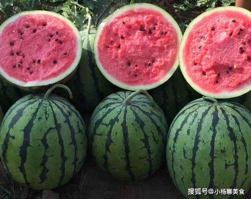 吃瓜网今日首页