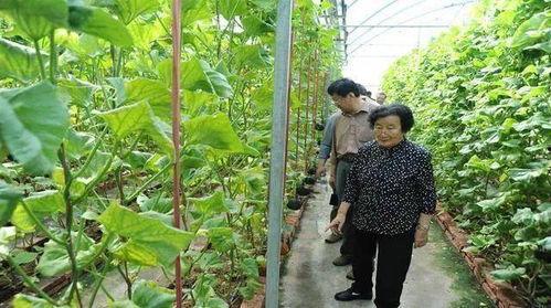 吃瓜网今日首页