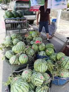 莱阳网红吃瓜事件,一场网络狂欢背后的真相与反思