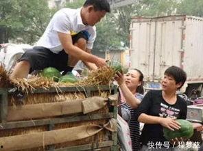 云霄县吃瓜网红事件,揭秘网络舆论的风暴与反思