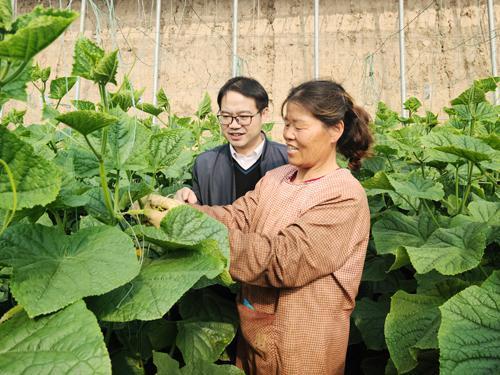 固始网红吃瓜事件真相,真相与反思