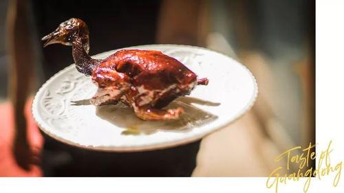 网红吃瓜鸽子是真的吗