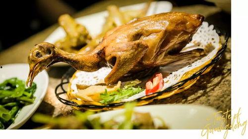 网红吃瓜鸽子是真的吗