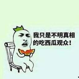 吃瓜头条网怎么进,轻松入门，畅享资讯盛宴