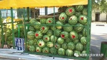 网红吃瓜每日大赛在哪看,每日大赛直播平台大揭秘！