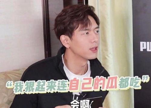 吃瓜网李,网络红人的崛起与影响力