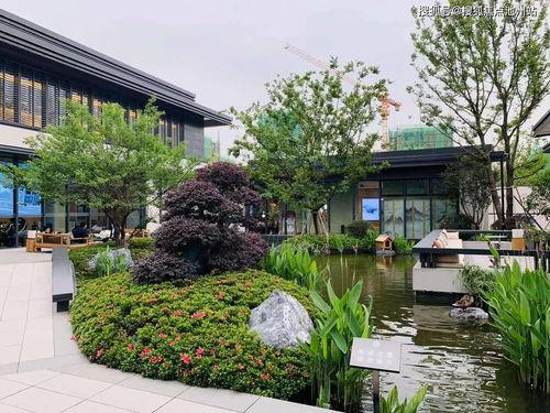 51cg吃瓜中心官网阿朱,揭秘阿朱背后的故事与魅力