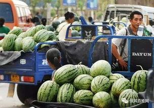 新疆男网红吃瓜爆料